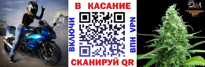 Где продают наркотики Грайворон COCAIN  Каннабис  Меф  АМФ  Гашиш  СОЛЬ 