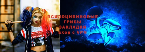 твердый Алексин