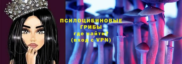твердый Алексин
