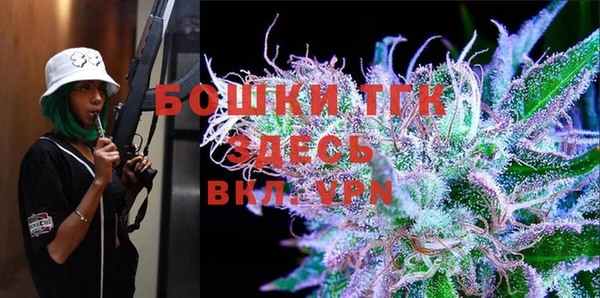 PSILOCYBIN Алексеевка