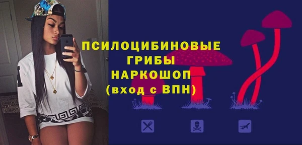 бошки Алзамай
