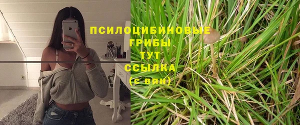 PSILOCYBIN Алексеевка