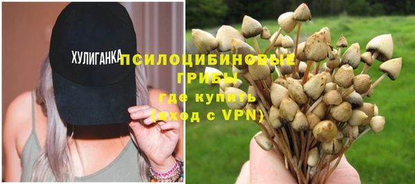 бошки Алзамай